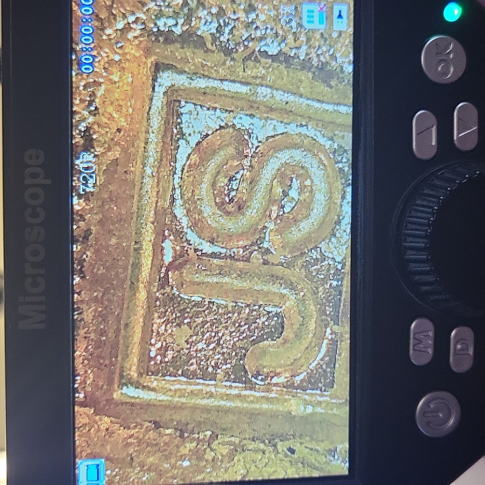 Js Witchore - image 2